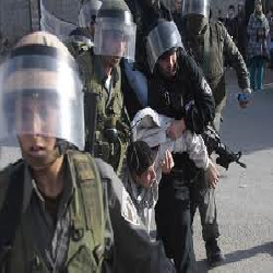 The Israeli Occupation arrests five people with a girl in Hebron 