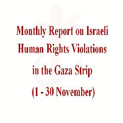 Israeli violations in the Gaza Strip, November 2014