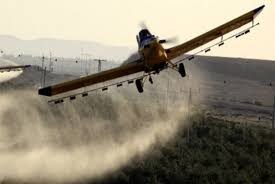 حماية يصدر تقريره الشهري بعنوان (مصارعة من أجل البقاء)