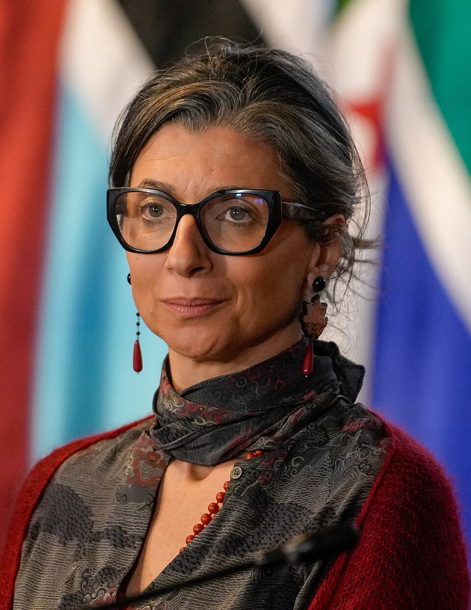 "حماية" يعلن تضامنه مع السيدة: آلبانيز، ويدين حملة التشهير التي يقودها الاحتلال الإسرائيلي وحلفاءه ضدها