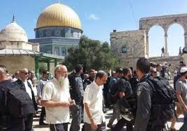 "حماية" يدين اقتحام آلاف المستوطنين للمسجد الأقصى وباحاته ويطالب بالتحرك الفوري لوقف الاعتداءات المتكررة