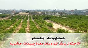 في ورقة حقائق أعدها المركز "حماية" الاحتلال يحرق المزروعات بالمبيدات، ويهدد سلامة البيئة و الإنسان
