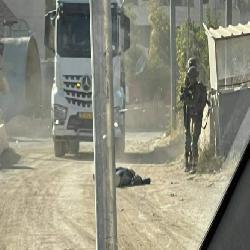"حماية" يدين جريمة إعدام الصحفية (وراسنة) ويطالب بمحكمة دولية خاصة في الجرائم المرتكبة ضد الصحفيين