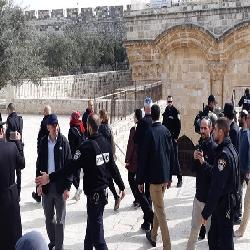 "حماية" يدين انتهاكات سلطات الاحتلال في القدس والضفة الغربية ويطالب المجتمع الدولي بخطوات عملية لالزامها بانهاء سياستها الاستيطانية الممنهجة بحق الفلسطينين
