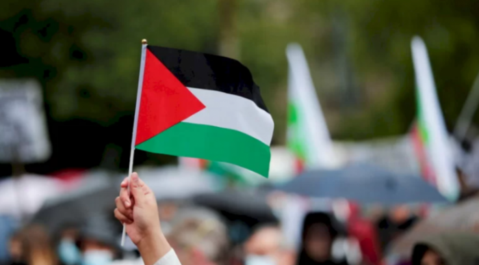 "حماية" يدعو المجتمع الدولي لممارسة الضغط اللازم على سلطات الاحتلال لضمان حرية عمل الكيانات الحقوقية والمحلية في الأراضي الفلسطينية المحتلة