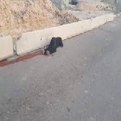 في اليوم العالمي لمناهضة العنف ضد المرأة  حماية يطالب بالتحرك الجاد لوقف الانتهاكات الإسرائيلية بحق النساء الفلسطينيات