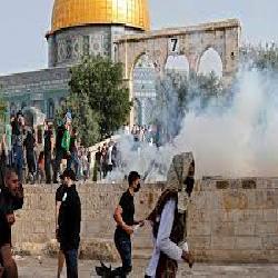 "حماية" يدين  اقتحام مئات المستوطنين لباحات المسجد الأقصى، ويطالب الأمم المتحدة بوضع حد لانتهاك قوات الاحتلال لقراراتها