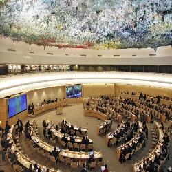 "حماية" يقدم بلاغ معلوماتي لمجلس حقوق الإنسان حول جريمة تعذيب الشاب عروة الشيخ علي